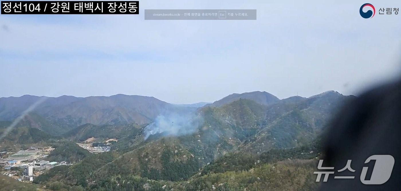본문 이미지 - 강원 태백 장성동 산불 현장.(산림청 제공, 재판매 및 DB금지)