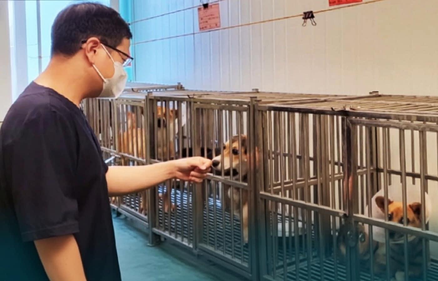 본문 이미지 - 진승우 와이펫 대표(수의사)가 부산시 유기동물 보호센터에서 보호동물을 바라보고 있다(와이펫 제공). ⓒ 뉴스1