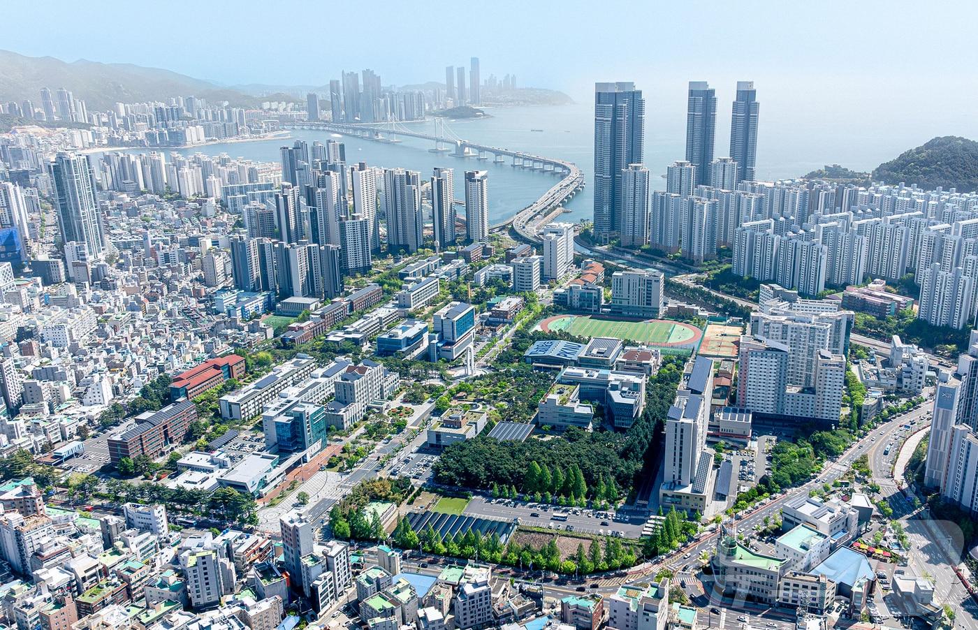 본문 이미지 - 국립부경대학교 대연캠퍼스 전경. (국립부경대 제공. 재판매 및 DB 금지) 