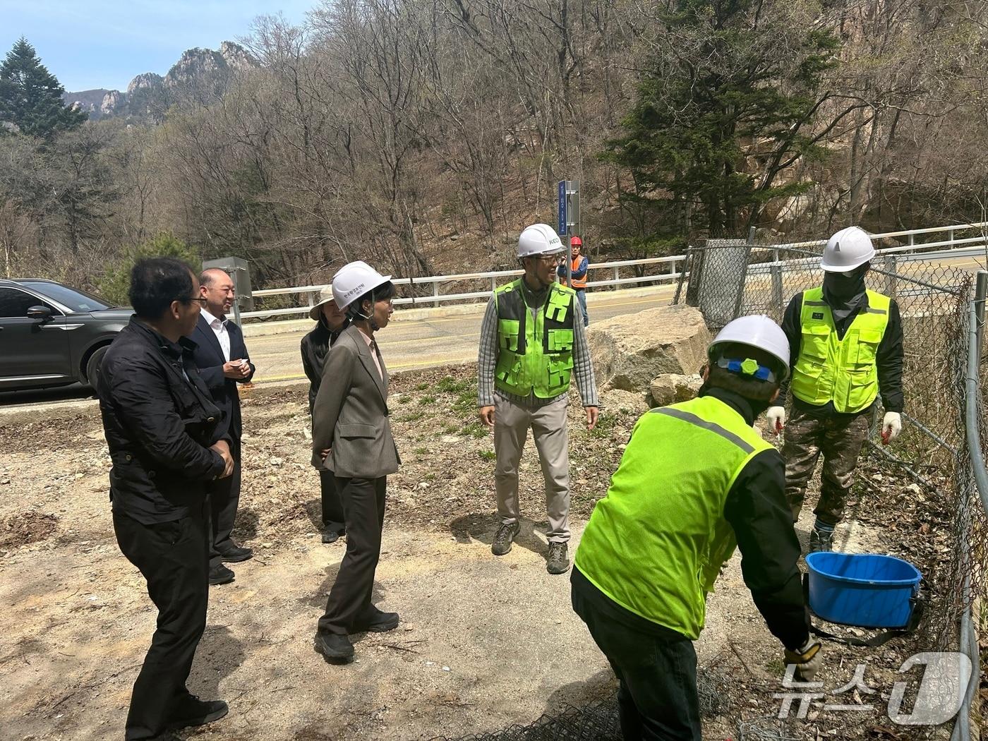 본문 이미지 - 박소영 기후에너지환경부 원주지방환경청장이 23일 강원 설악산국립공원에서 환경청 관계자들과 아프리카돼지열병(ASF) 차단울타리 관리내역과 철거구간을 점검했다. (원주지방환경청장 제공. 재판매 및 DB금지) 2026.4.23/뉴스1