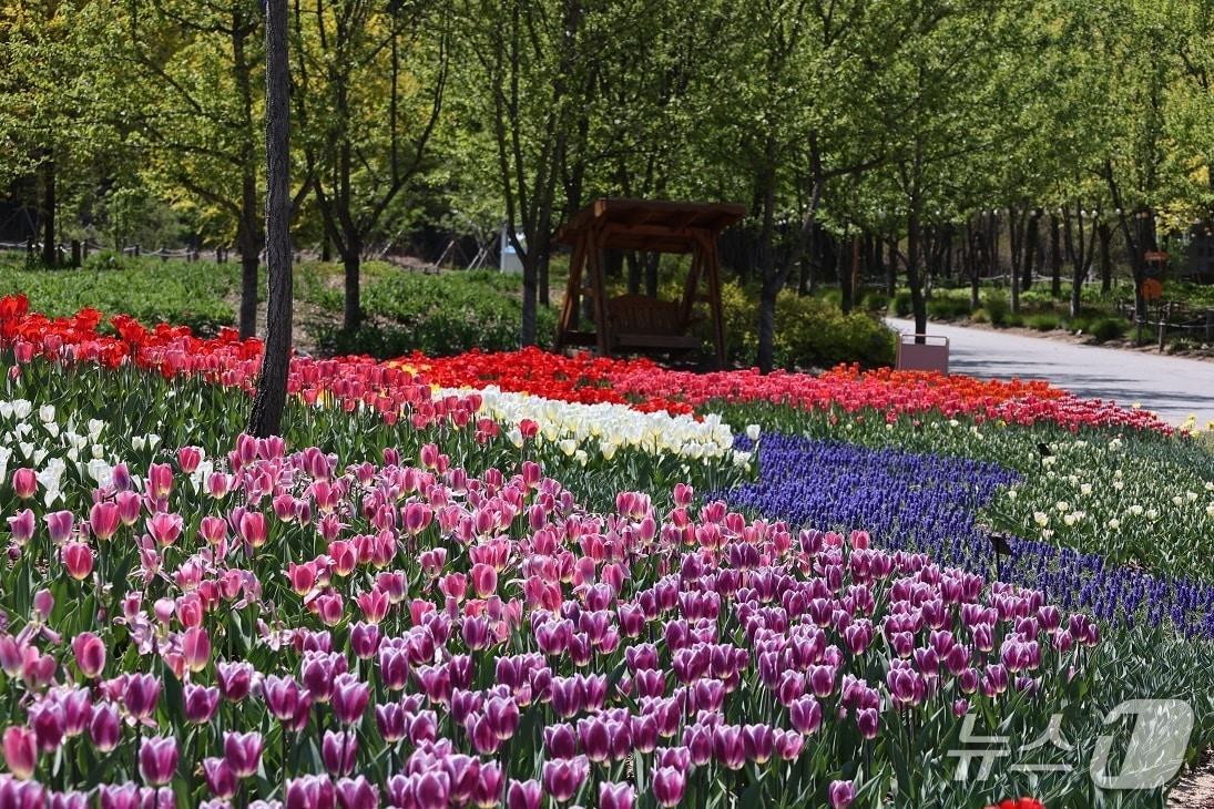 본문 이미지 - 국립백두대간수목원 진입광장(한국수목원정원관리원 제공.재판매 및 DB금지)/뉴스1