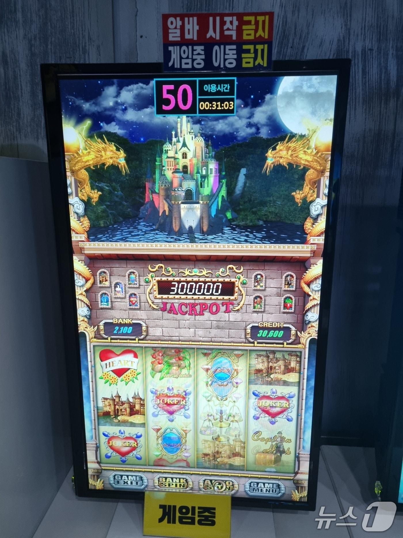 본문 이미지 - 경찰 압수품. (제주경찰청 제공. 재판매 및 DB금지)/뉴스1