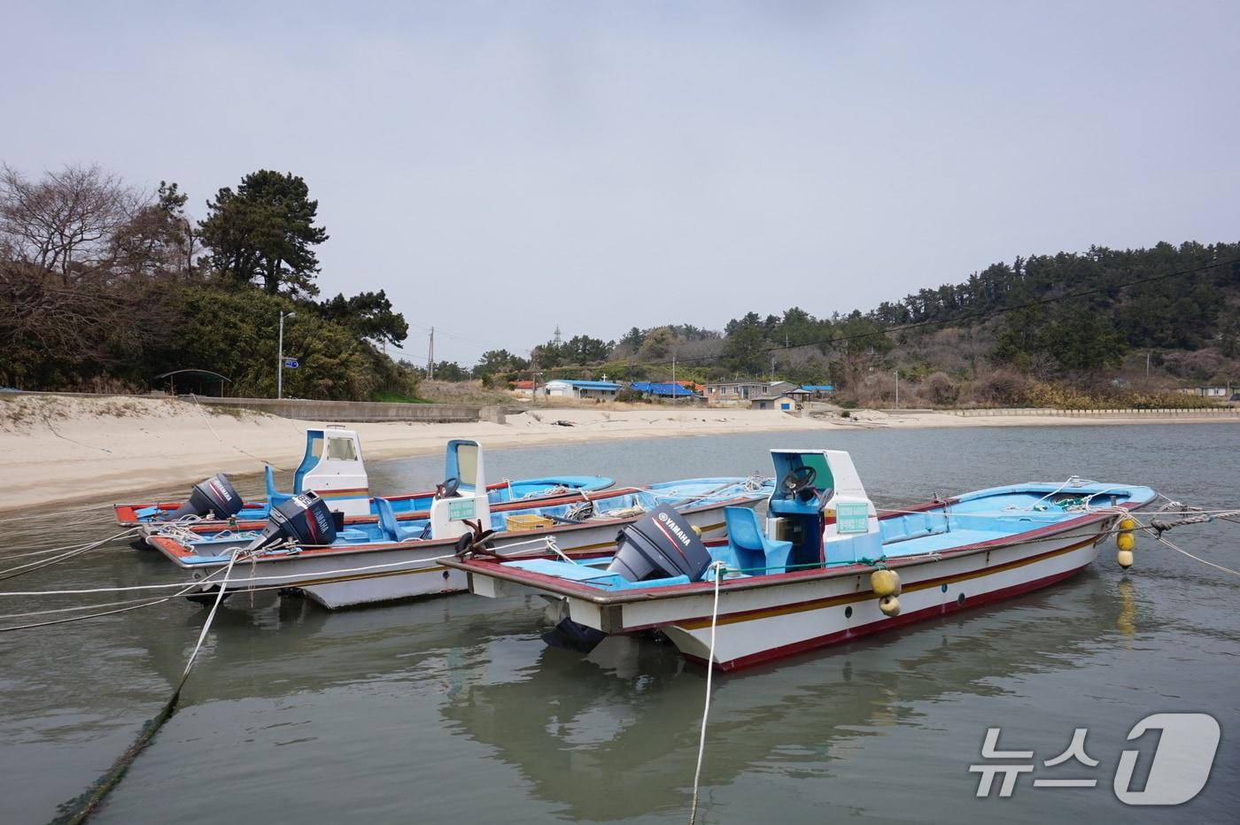 본문 이미지 - 선착장에서 본 저도 풍경. 2026.4.24. 뉴스1 ⓒ News1 조영석 기자 