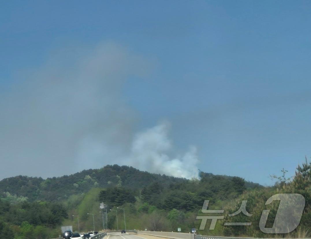 본문 이미지 - 산불 현장.(사진은 기사 내용과 무관함) / 뉴스1 ⓒ News1