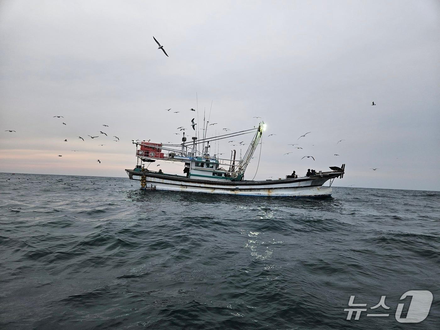 본문 이미지 - 적발된 어선.(군산해경 제공. 재판매 및 DB 금지)
