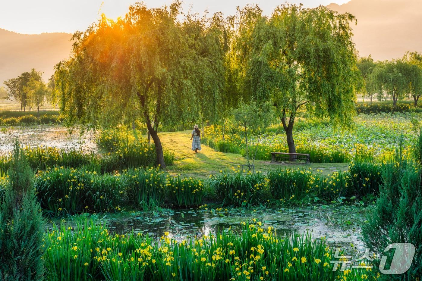 본문 이미지 - 거창창포원 전경(거창군 전경. 재판매 및 DB금지).
