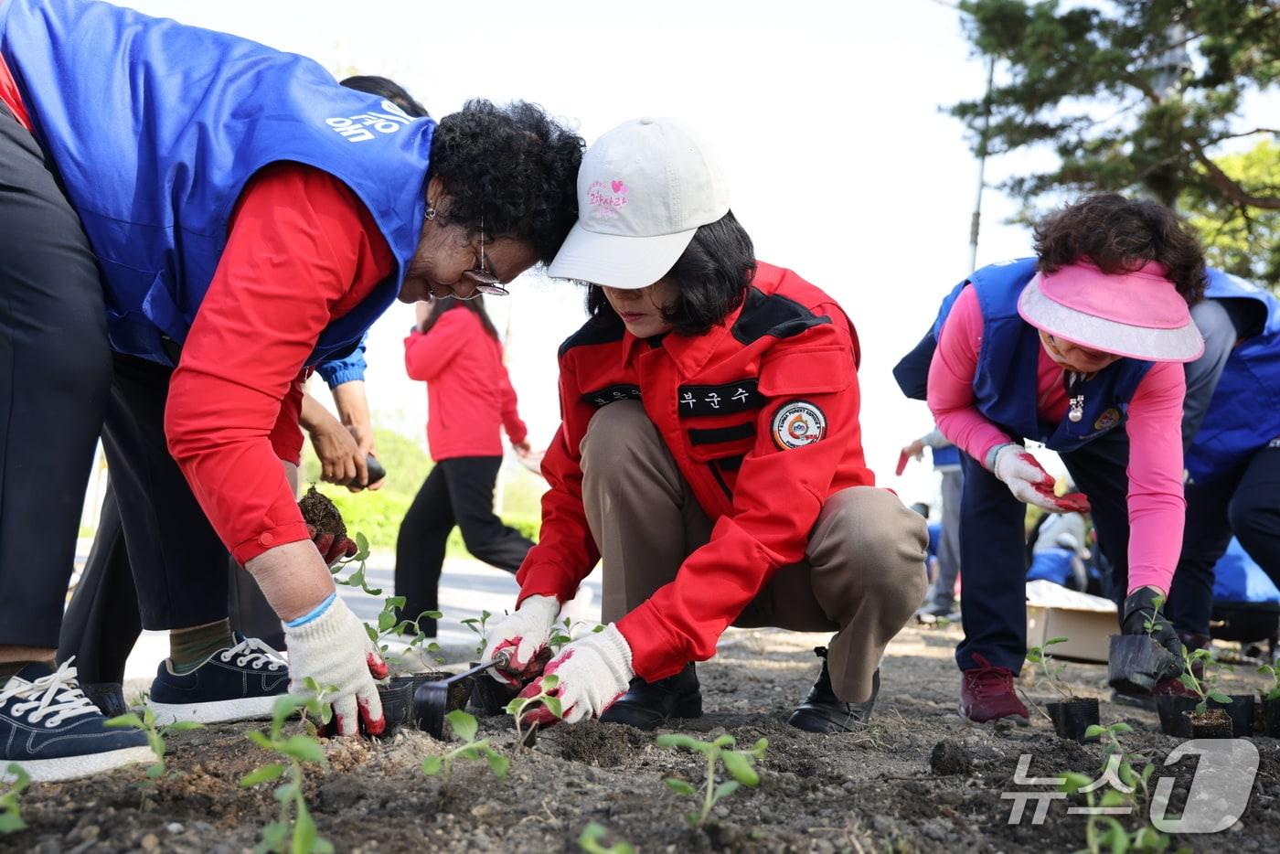 본문 이미지 -  보은군  민·관이 함께 생활권 테마화단을 조성하고 있다. (보은군 제공. 재판매 및 DB금지) 