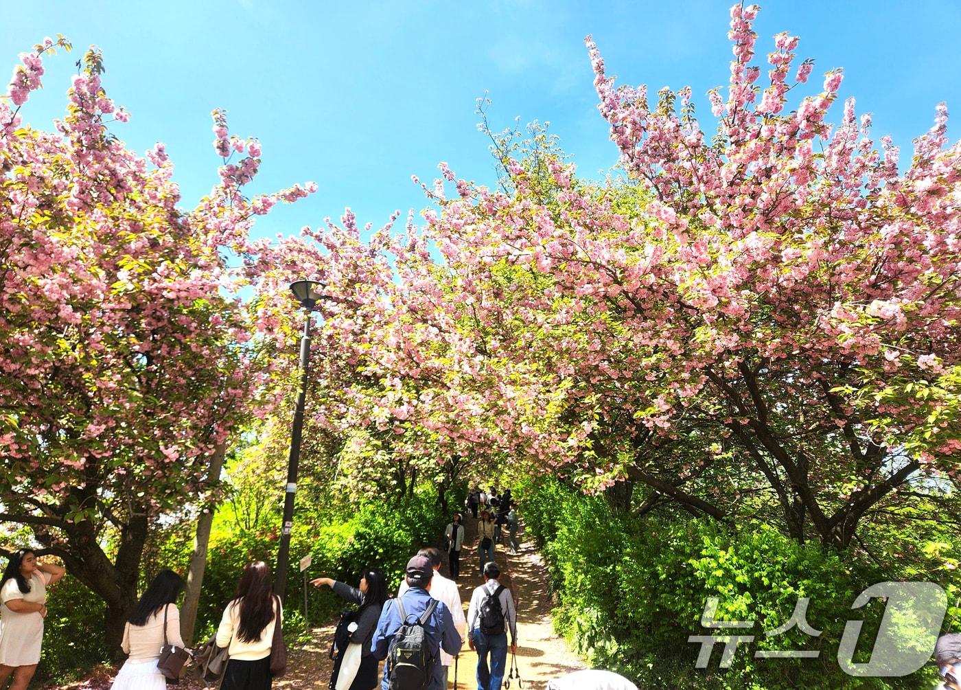 본문 이미지 - 〈자료사진〉