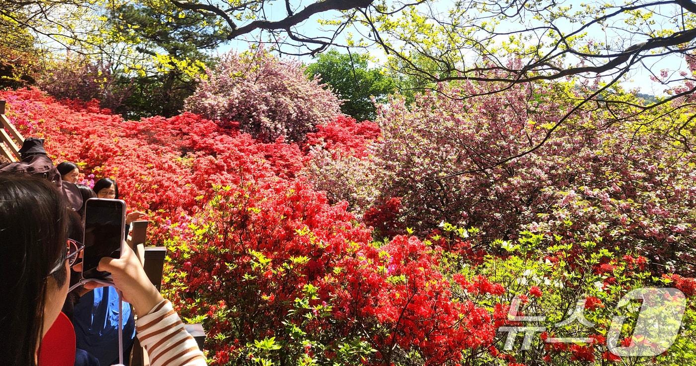 본문 이미지 - 완연한 봄 날씨를 보인 24일 전북 전주시 완산공원 꽃동산에 상춘객들의 발길이 이어지고 있다. 2026.4.24 ⓒ 뉴스1 임충식 기자