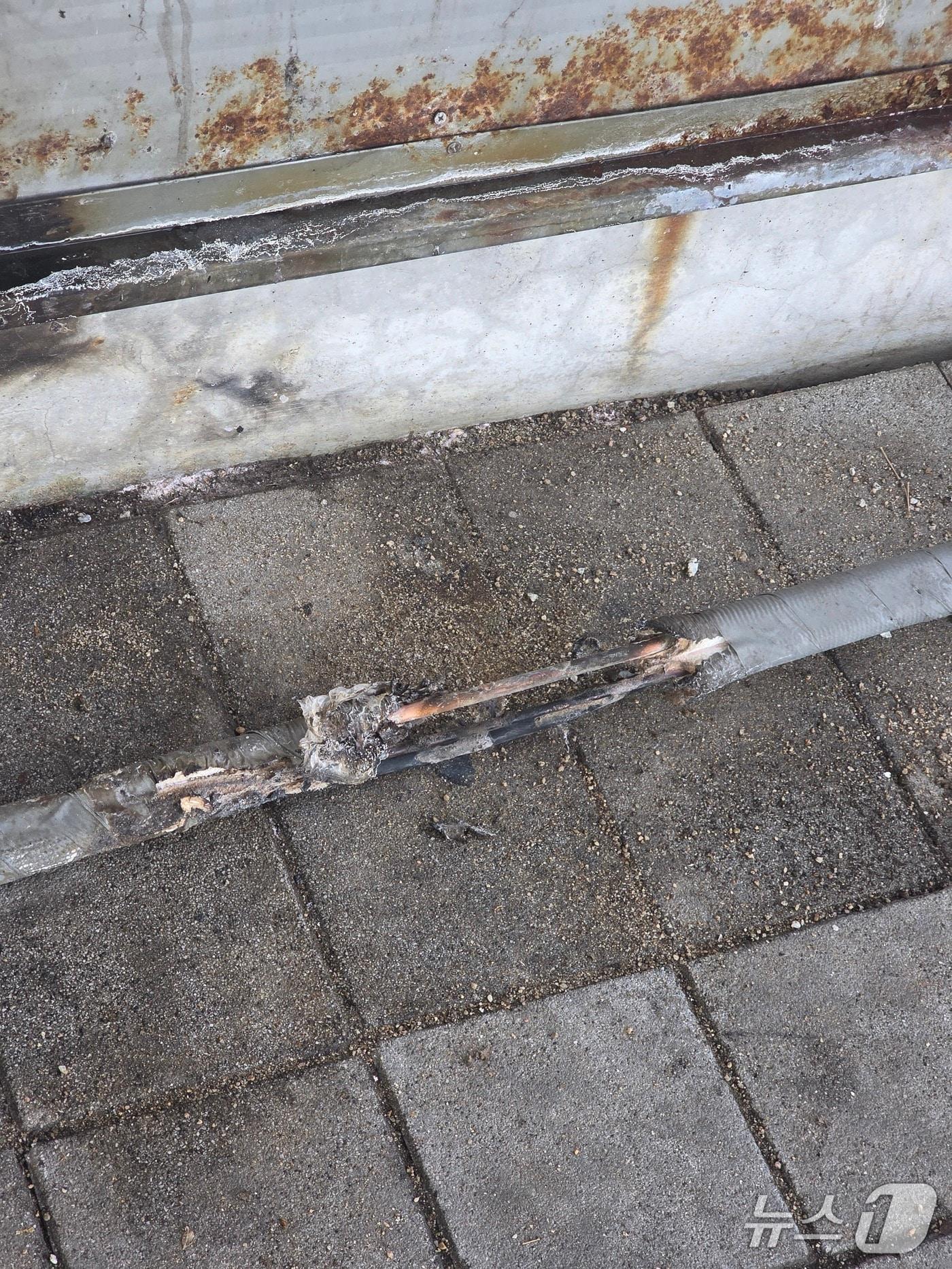 본문 이미지 - 학생이 버린 담배꽁초가  원인으로 추정되는 불.(독자 제공. 재판매 및 DB금지) 