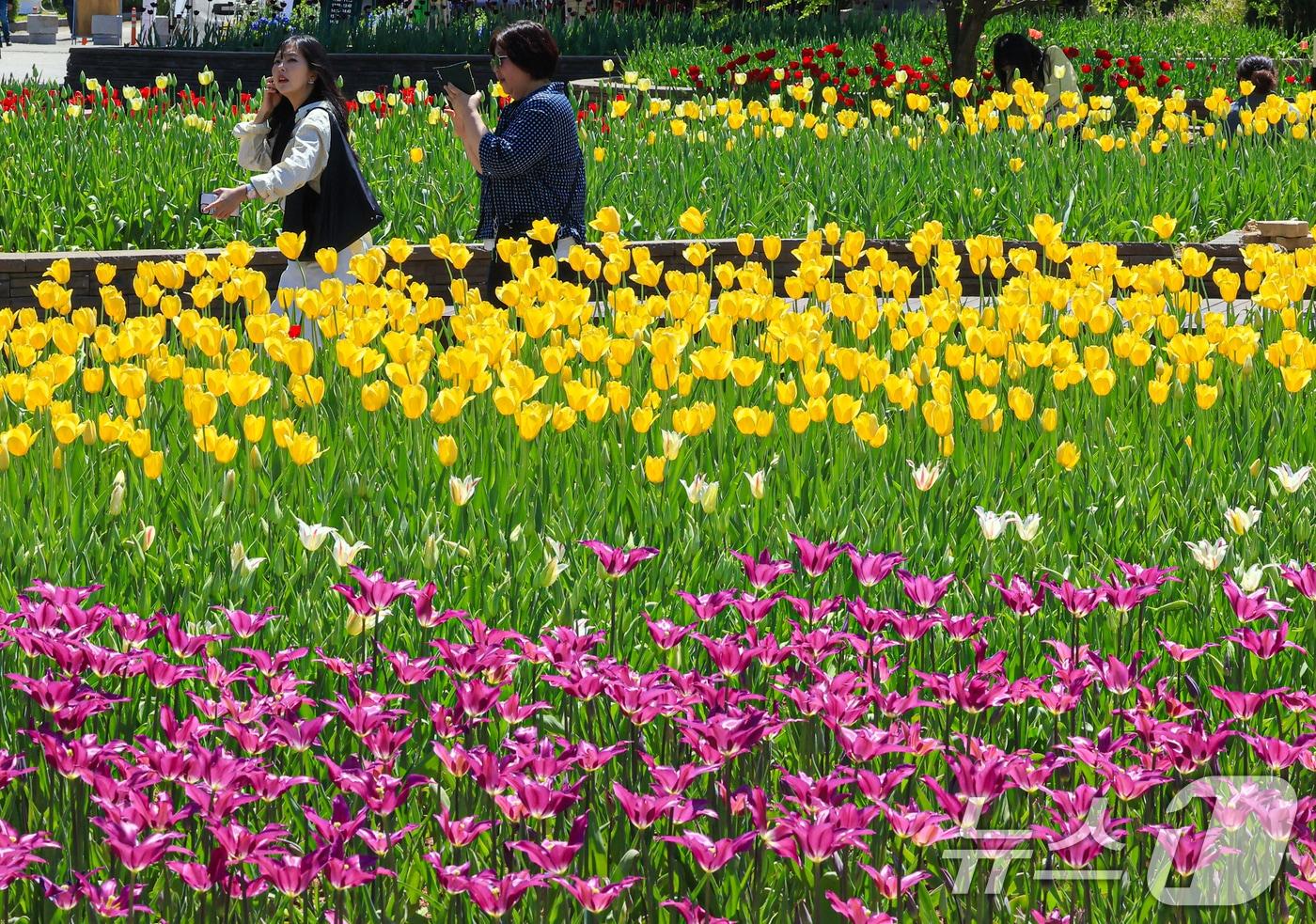 본문 이미지 - 24일 경기도 고양시 일산호수공원에서 열린 '제18회 고양국제꽃박람회'를 찾은 관람객들이 꽃구경을 하고 있다. 이번 박람회는 '꽃, 시간을 물들이다' 주제로 오는 5월 10일까지 17일간 일산호수공원에서 열린다. 2026.4.24 ⓒ 뉴스1 이호윤 기자