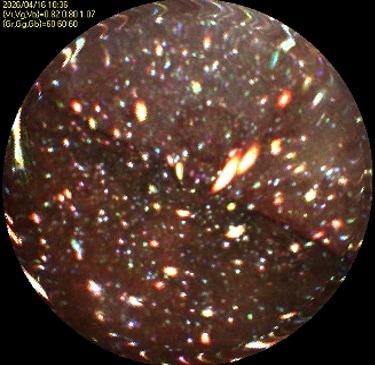 본문 이미지 - 일본 후쿠시마 제1원전 2호기 압력용기 내부를 촬영한 사진. (도쿄전력 제공)