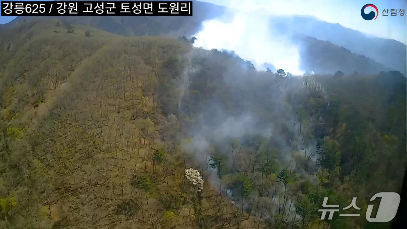 본문 이미지 - 강원 인제 북면 용대리 산불 현장.(뉴스1 DB)