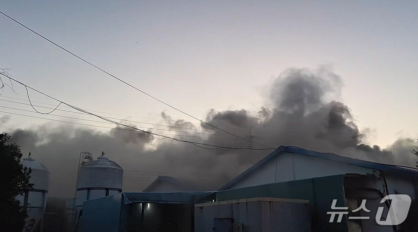 본문 이미지 - 양돈장 화재 현장(제주소방본부 제공. 재판매 및 DB금지)/뉴스1