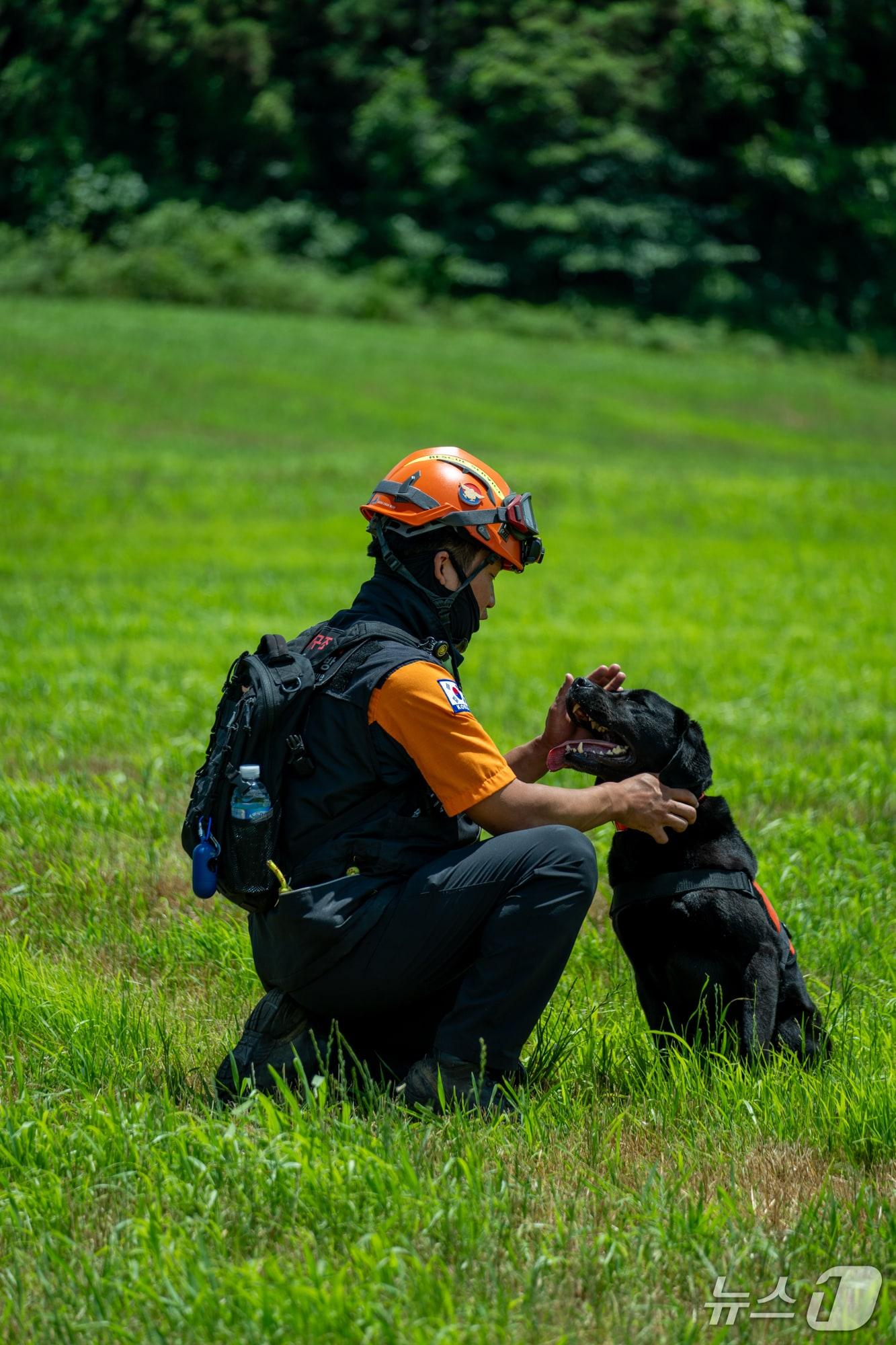 본문 이미지 - 구조견 나르샤와 핸들러 강찬우 소방교(제주소방본부 제공. 재판매 및 DB금지)/뉴스1