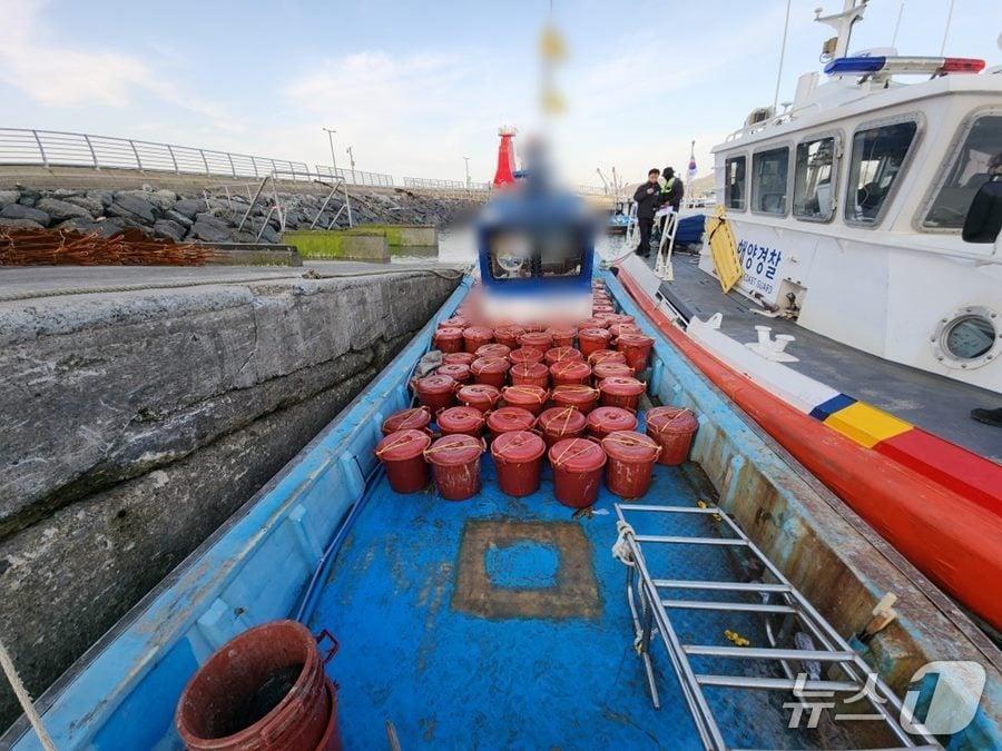 본문 이미지 - 군산해경 해삼 불법 채취 적발 (군산해경 제공. 재판매 및 DB 금지)