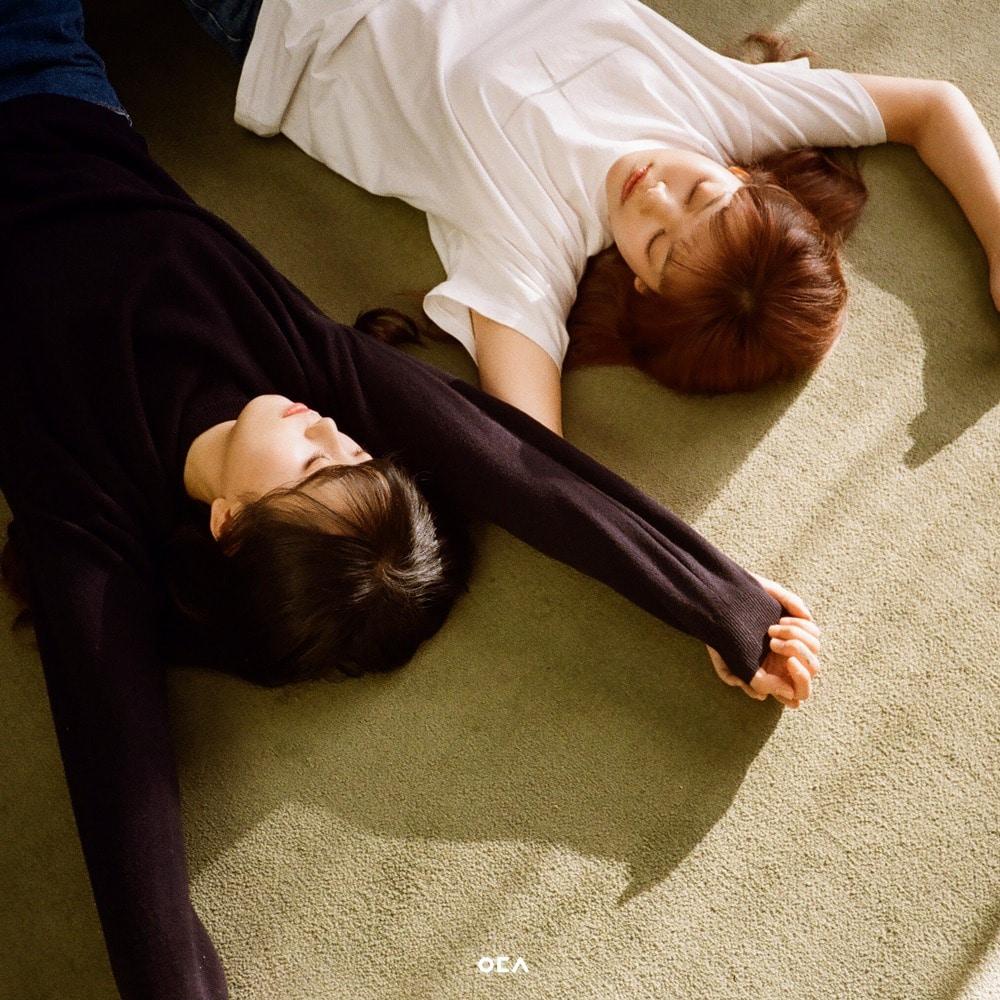 본문 이미지 - 사진제공=에이치오이엔티