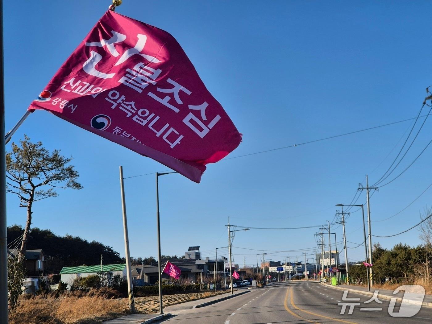 본문 이미지 - 강원 강릉지역 도로변에 걸린 산불 예방 깃발.(뉴스1 DB)