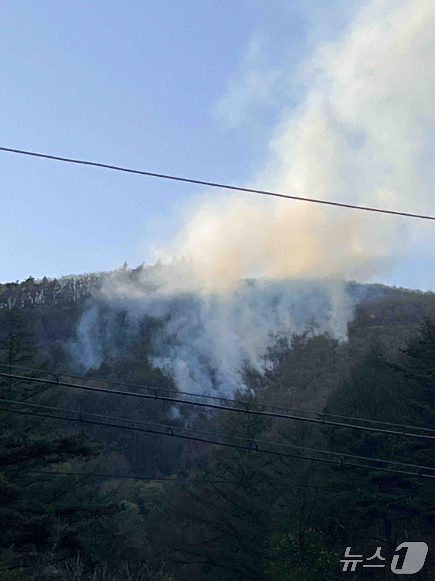 본문 이미지 - 25일 오후 강원 삼척 하장면 산불 현장.(강원도산불방지대책본부 제공, 재판매 및 DB 금지) 2026.4.25/뉴스1