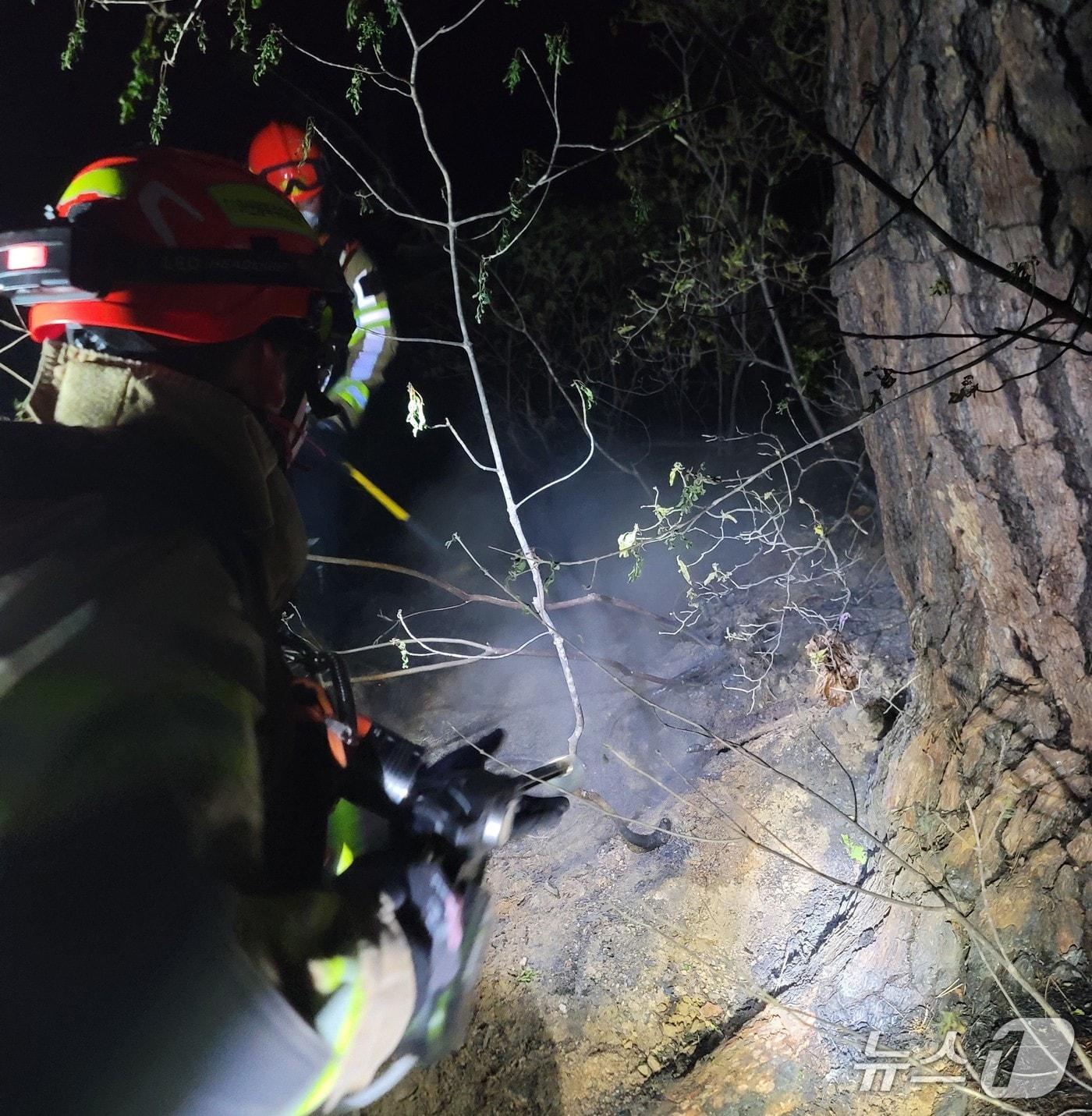 본문 이미지 - 25일 오후 7시45분쯤 경북 봉화군 춘양면 각화산에서 불이나 산림 당국이 1시간여 만에 진화를 마쳤다.(경북소방본부 제공. 재판매 및 DB금지)