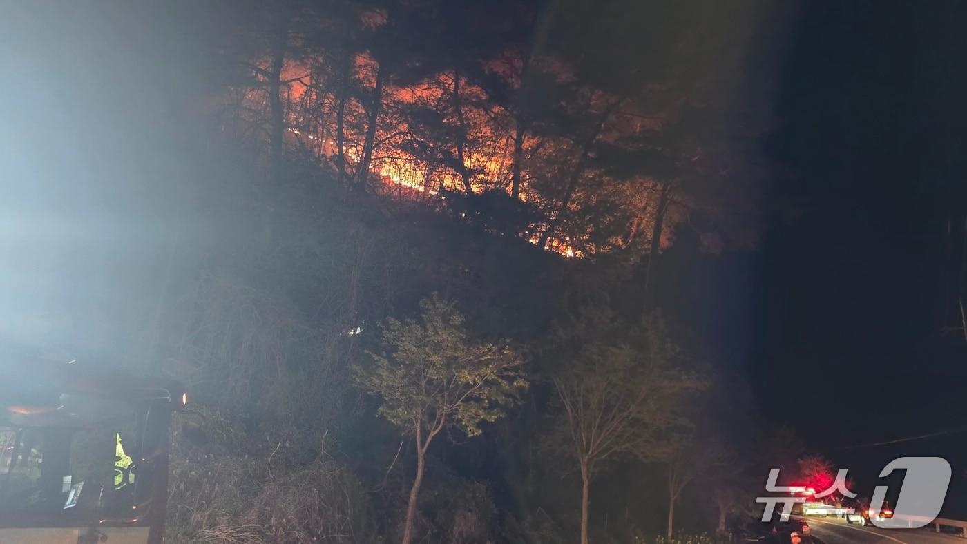 본문 이미지 - 25일 밤 강원 영월군 무릉도원면 야간 산불 현장.(강원도 산불방지센터 제공, 재판매 및 DB 금지) 2026.4.25/뉴스1