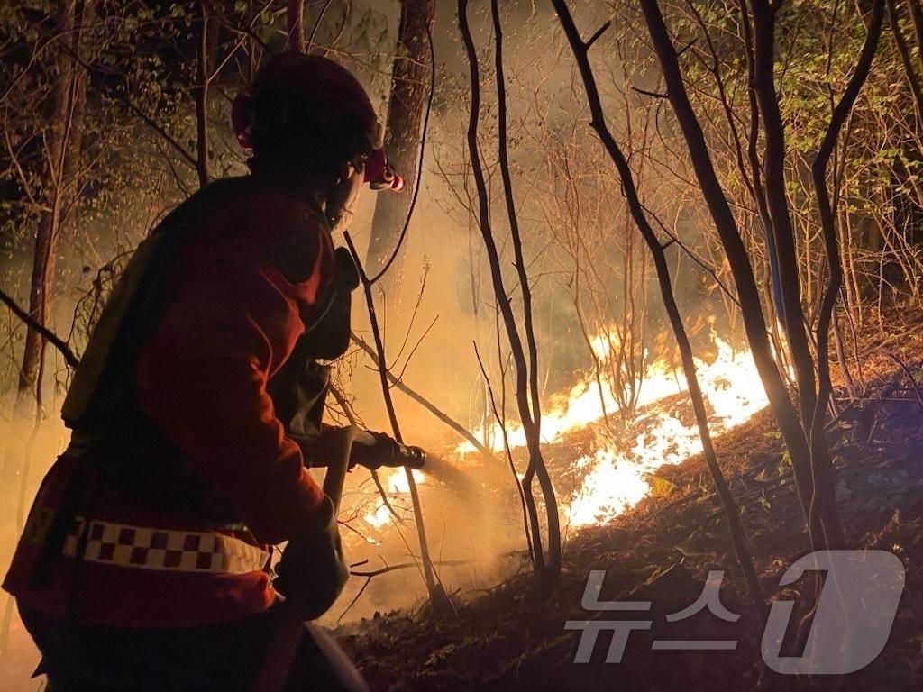 본문 이미지 - 25일 밤 강원 영월군 무릉도원면 법흥리에서 발생한 야간 산불 현장에서 진화대원이 불길을 잡고 있다.(강원도 산불방지센터 제공, 재판매 및 DB 금지) 2026.4.25 ⓒ 뉴스1 윤왕근 기자