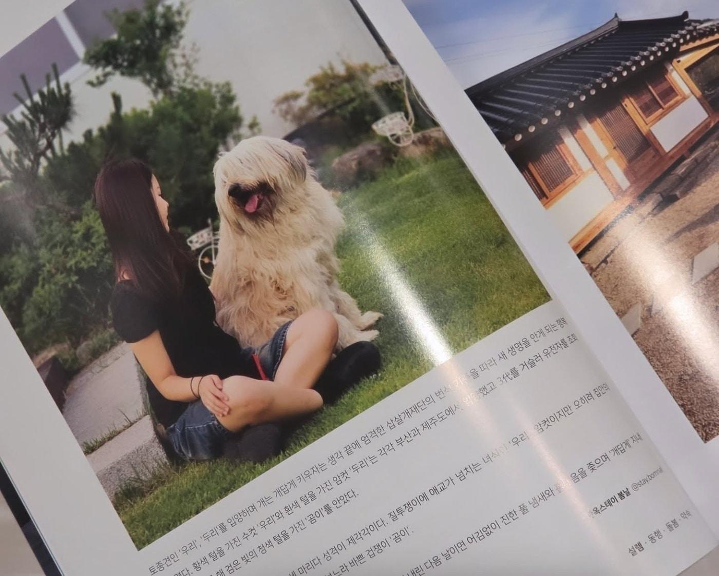 본문 이미지 - 카하 커넥트 내지(한국동물병원협회 제공) ⓒ 뉴스1