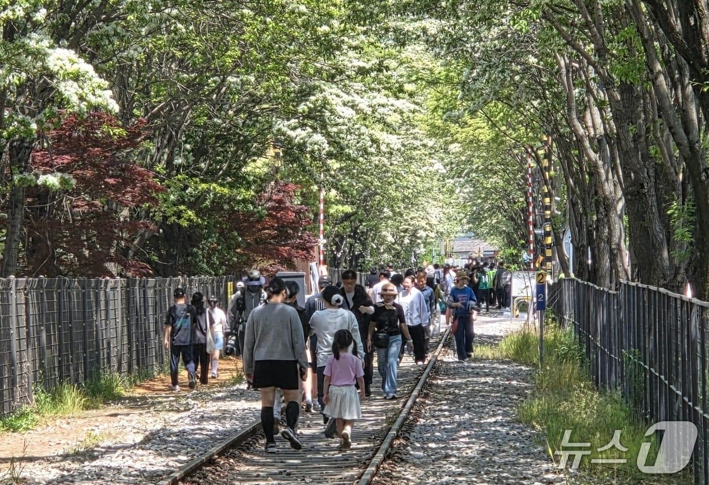 본문 이미지 - 26일 오전 11시께 전북 전주시 덕진구 팔복예술공장 인근 철길에 이팝나무가 만개했다.2026.4.26/뉴스1 문채연 기자
