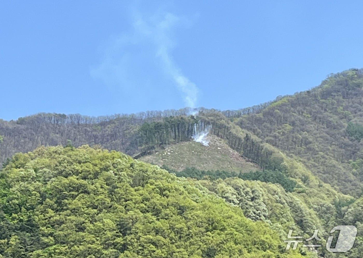 본문 이미지 - 충북 단양군 어상천면 임헌리 삼태산 인근에서 불(단양소방서 제공. 재판매 및 DB 금지)  