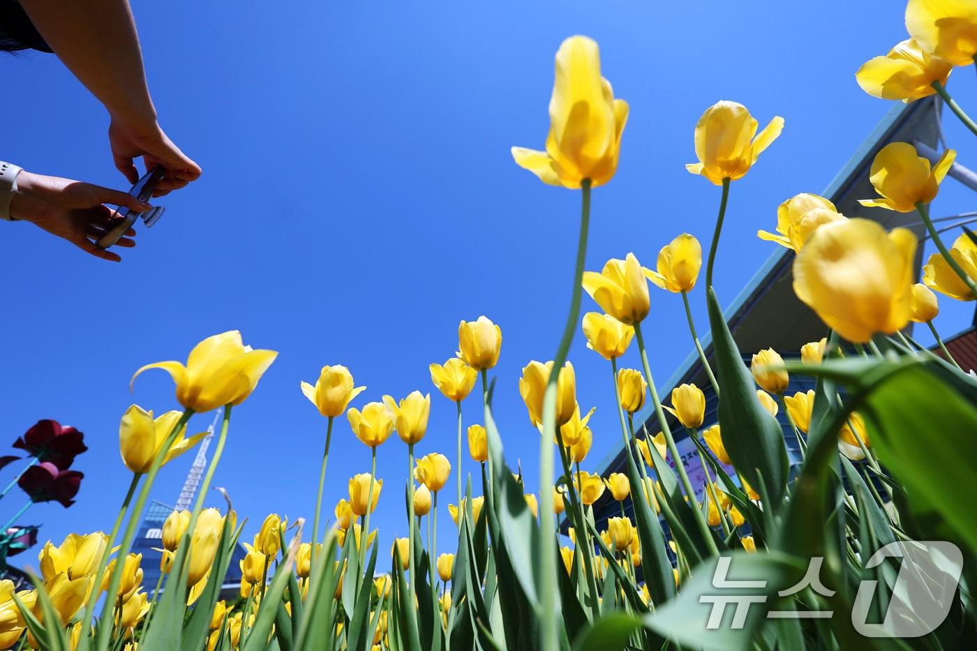 본문 이미지 - 〈자료사진〉