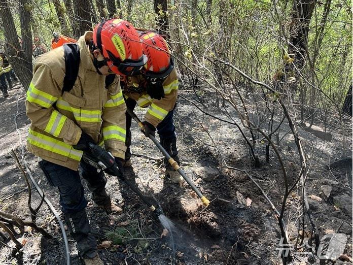 본문 이미지 - 26일 오후 1시 5분쯤 경북 봉화군 춘양면 각화산에서 불이 나 산림 당국이 진화하고 있다.(경북소방본부 제공. 재판매 및 DB금지)