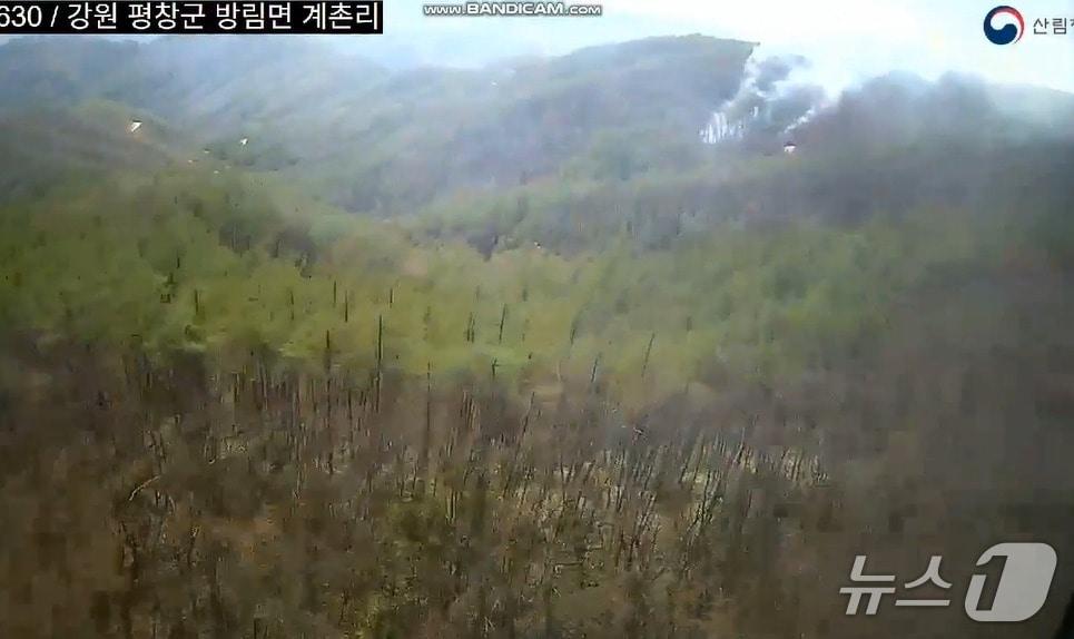 본문 이미지 - 강원 평창 방림면 계촌리 산불 현장.(강원도 제공, 재판매 및 DB금지)