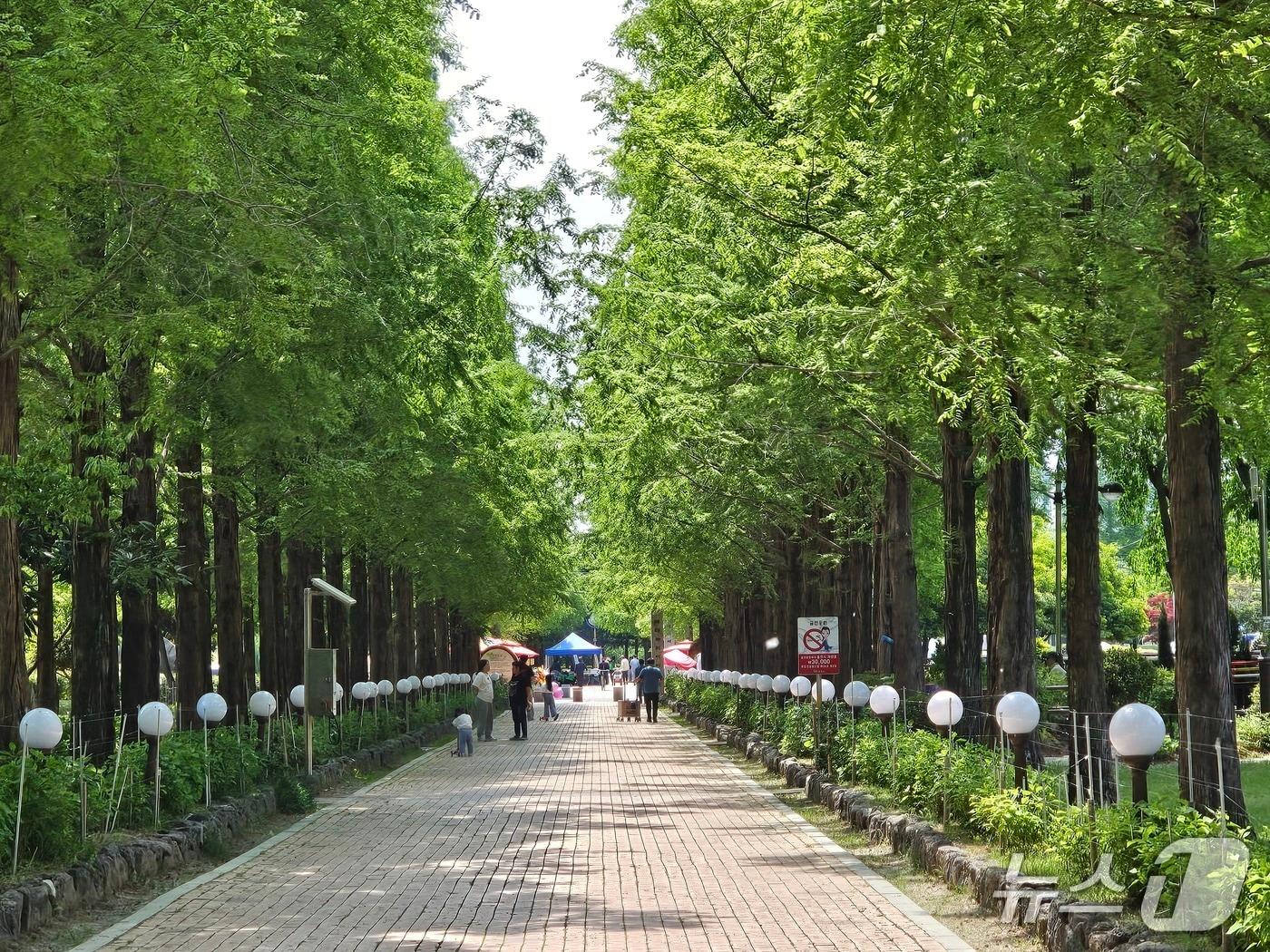 본문 이미지 - 26일 경남 진주시 초전공원을 방문한 시민들이 산책을 하고 있다. 2026.4.26/뉴스1 한송학기자