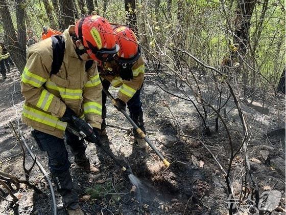 본문 이미지 -  26일 오후 1시 5분쯤 경북 봉화군 춘양면 각화산에서 불이 나 산림 당국이 진화하고 있다.(경북소방본부 제공. 재판매 및 DB금지)