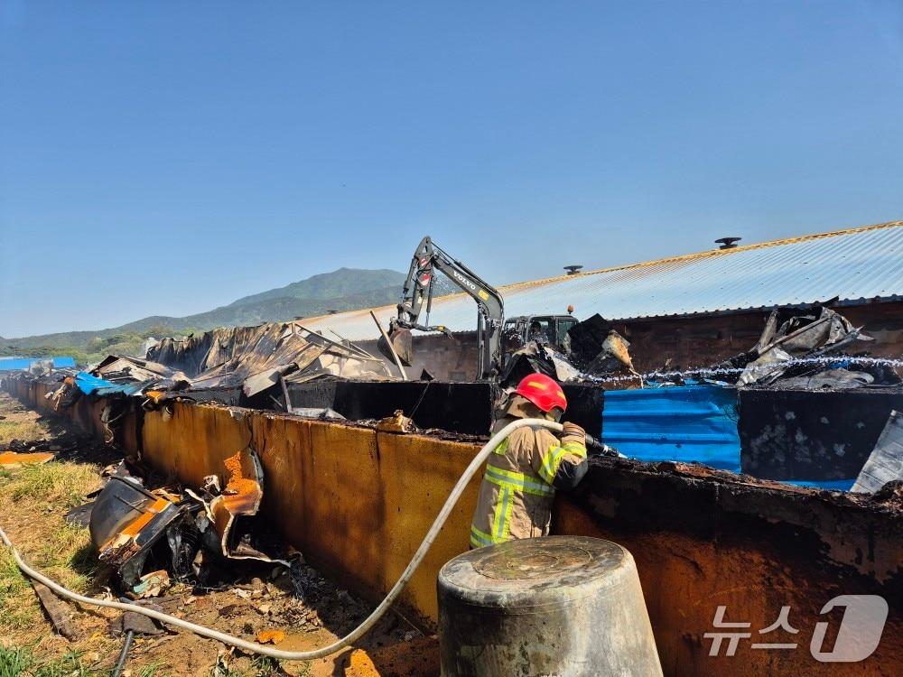본문 이미지 - 보령 천북면 돈사 화재 현장. (보령소방서 제공, 재판매 및 DB금지) / 뉴스1 
