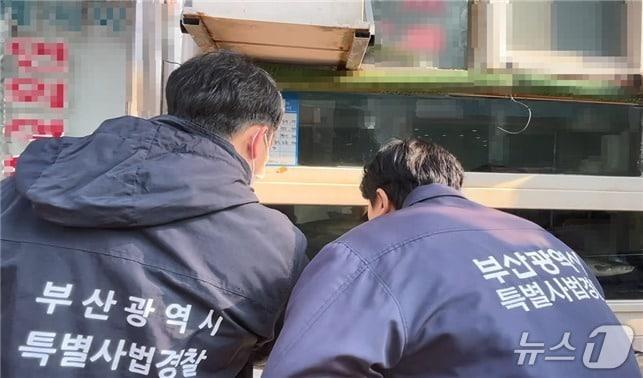 본문 이미지 - 부산시 제공. 재판매 및 DB금지