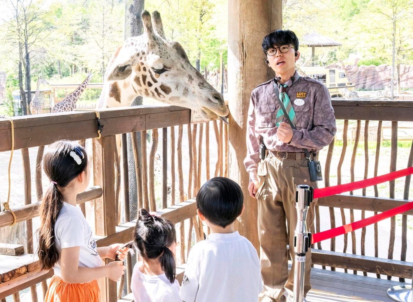 본문 이미지 - 에버 키즈 클럽 리버트레일 동물 탐험대(에버랜드 제공) 