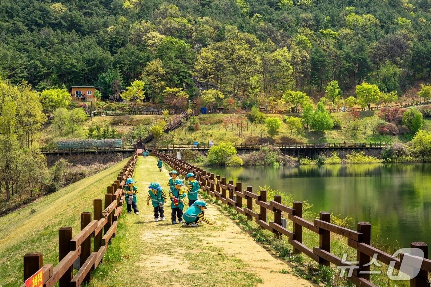 본문 이미지 - 구미 옥성자연휴양림 모습(구미시 제공. 재판매 및 DB금지)/뉴스1