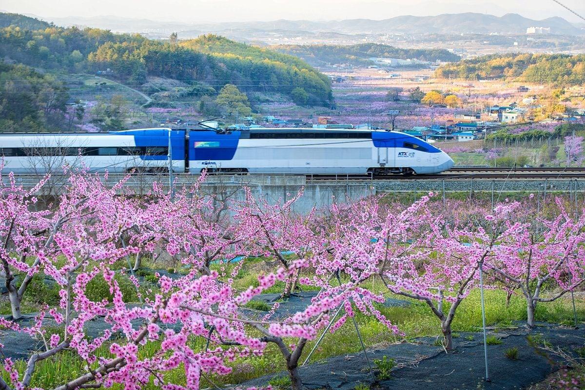본문 이미지 - KTX 산천 이미지.(한국철도공사 제공)뉴스1ⓒ news1