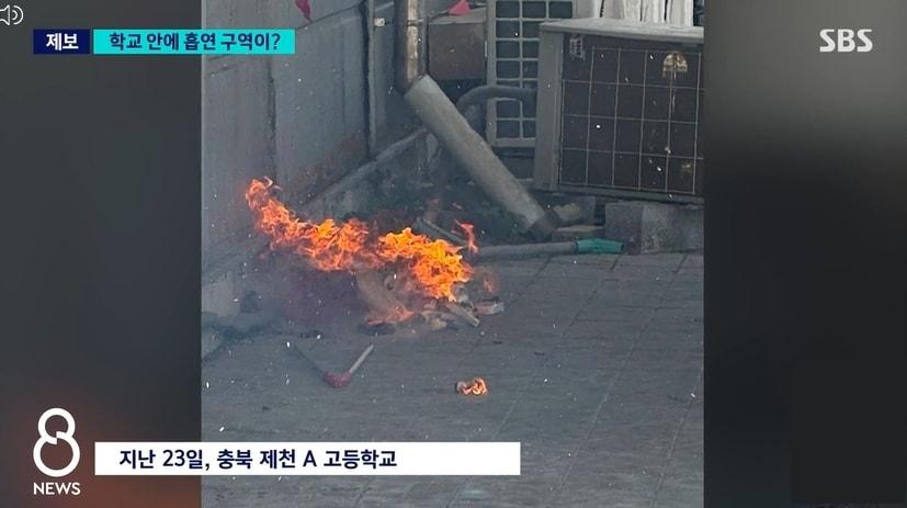 본문 이미지 - SBS