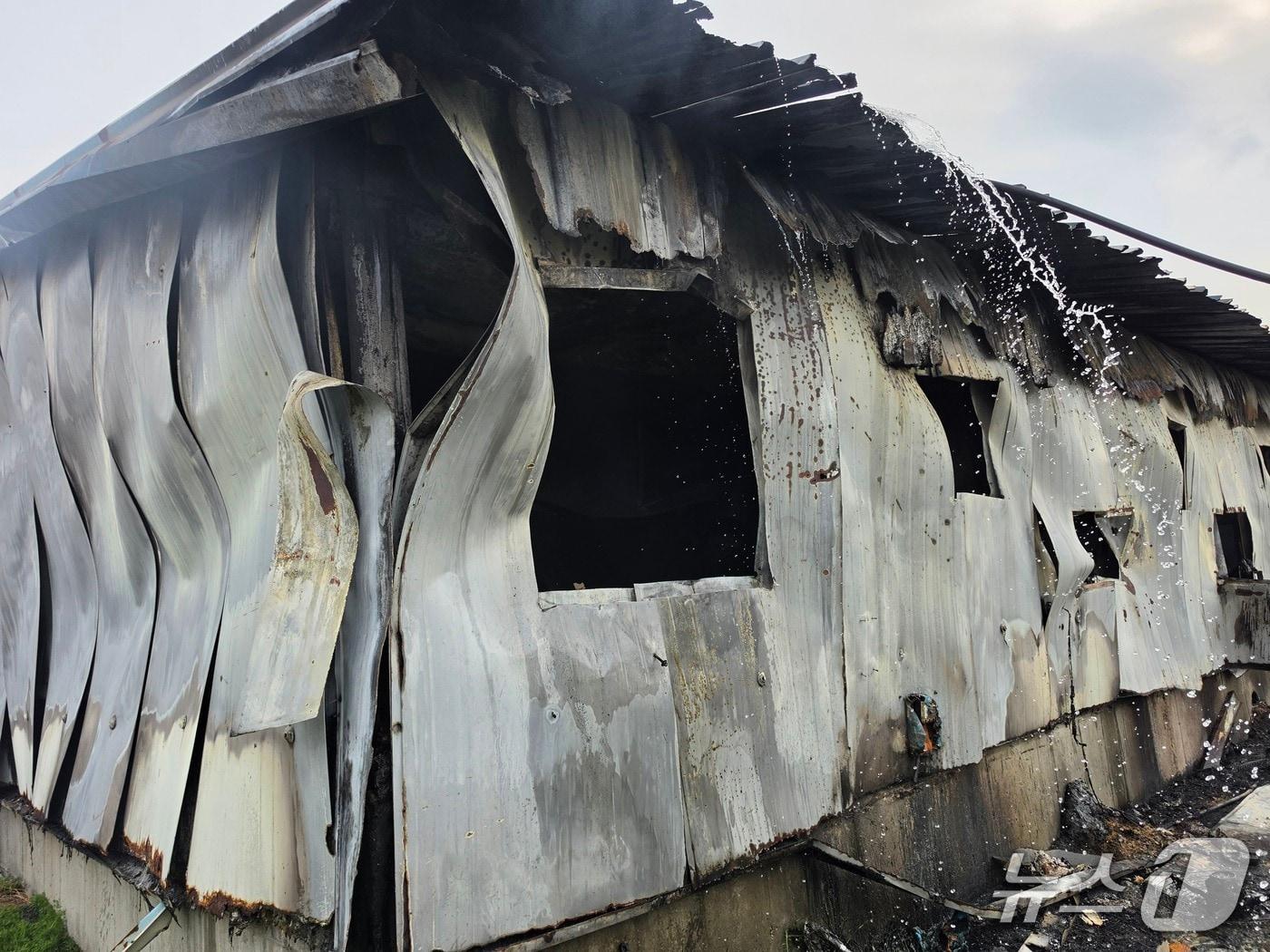본문 이미지 -  음성군 금왕읍 호산리 돼지축사 화재 현장(음성소방서 제공. 재판매 및 DB금지)