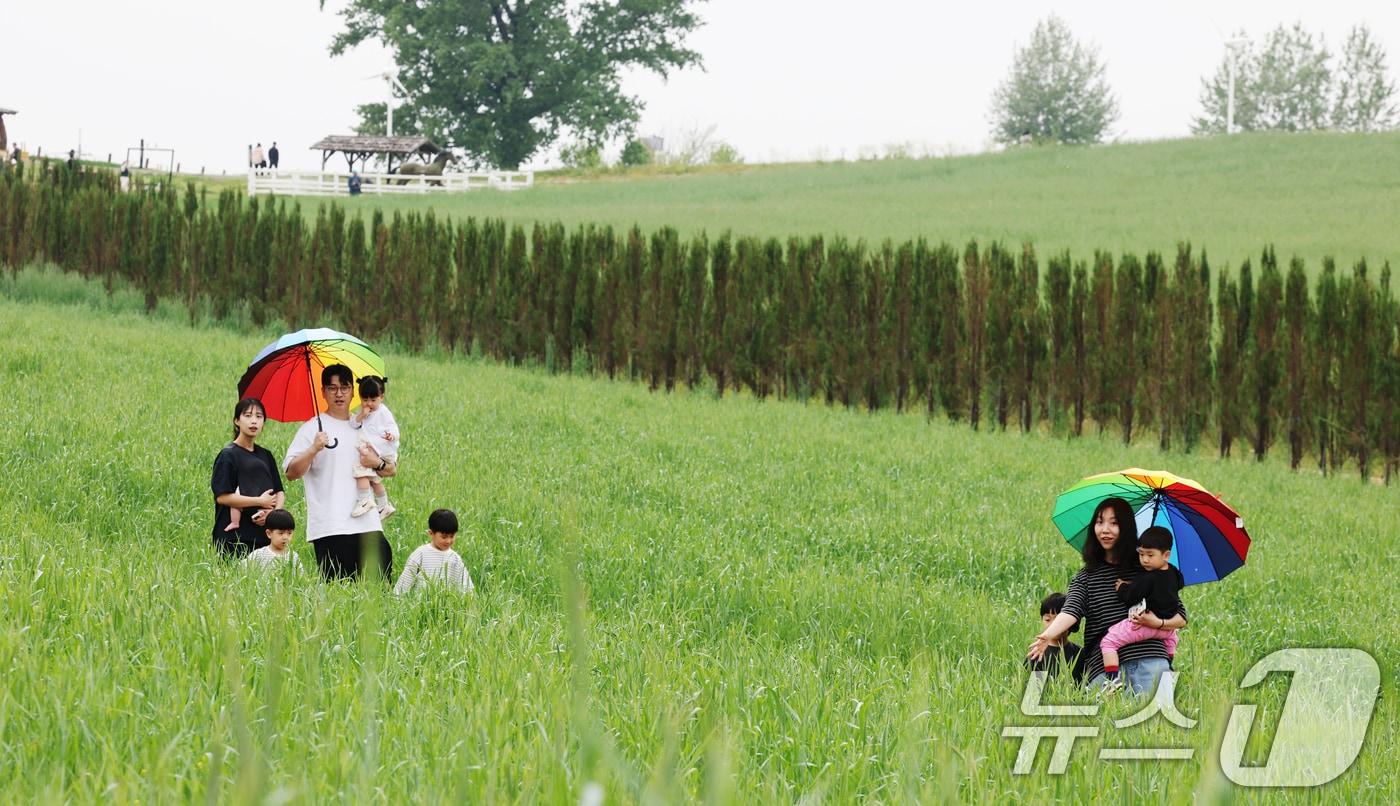 본문 이미지 - 완연한 봄날씨를 보인 27일 경기 안성시 공도읍 안성팜랜드 호밀밭에서 봄 나들이를 나온 시민들이 추억을 남기고 있다. 2026.4.27 ⓒ 뉴스1 김영운 기자