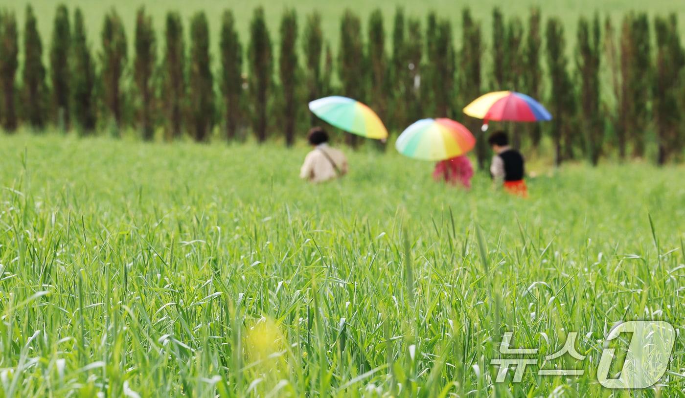 본문 이미지 - 완연한 봄날씨.(자료사진)/뉴스1 DB