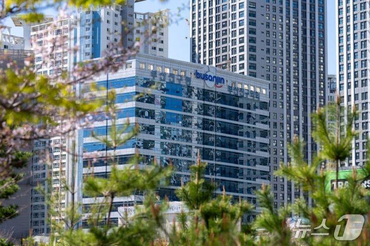 본문 이미지 - 부산 부산진구청 전경. (부산진구 제공. 재판매 및 DB금지)