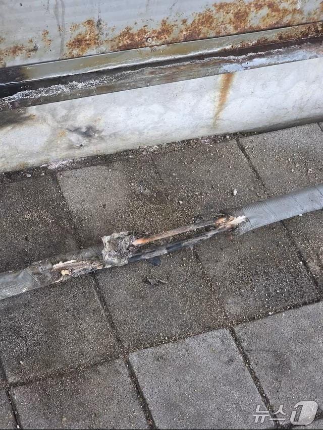 본문 이미지 -  학생이 지난 23일 담배꽁초가 원인으로 추정되는 불.(독자 제공. 재판매 및 DB금지)