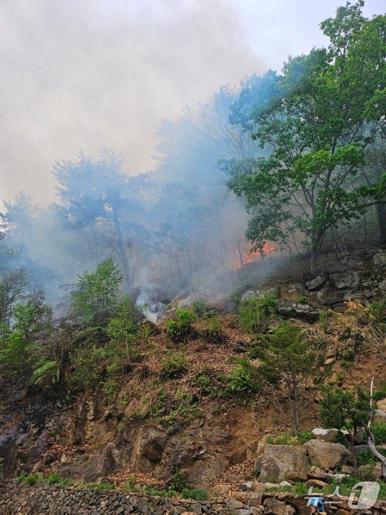 본문 이미지 - 강원 화천 간동면 방천리 산불 현장.(강원도 제공, 재판매 및 DB금지)