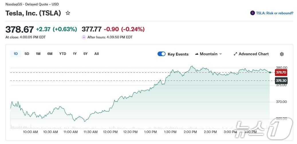 본문 이미지 - 테슬라 일일 주가 추이 - 야후 파이낸스 갈무리