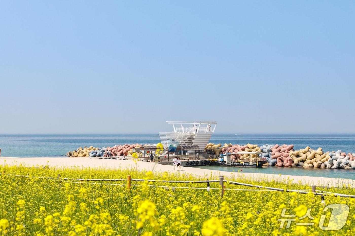 본문 이미지 - 강릉시가 소개한 5월의 관광지. 사근진 해변 멀티플 광장.(강릉시 제공, 재판매 및 DB 금지) 2026.4.28/뉴스1