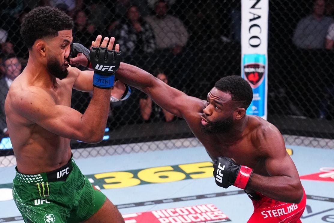 본문 이미지 - 유세프 잘랄(왼쪽)에게 펀치를 꽂아넣는 스털링.(UFC 제공)
