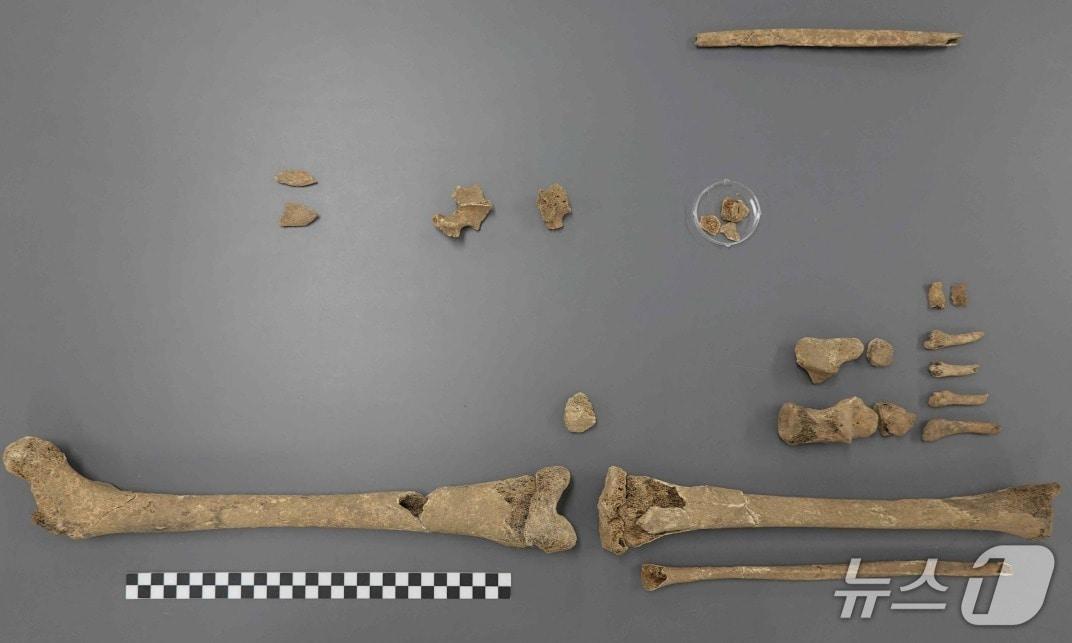 본문 이미지 - 1951년 한국전쟁 당시 강원도 양구에서 중공군과의 백석산 고지전 탈환 과정에서 전사한 고(故) 김판성 하사가 75년 만에 가족의 품으로 돌아왔다. 사진은 국방부 유해발굴감식단이 2024년 10월 수습한 김 하사의 유해.2026.4.28./ⓒ 뉴스1(국방부 유해발굴감식단 제공)